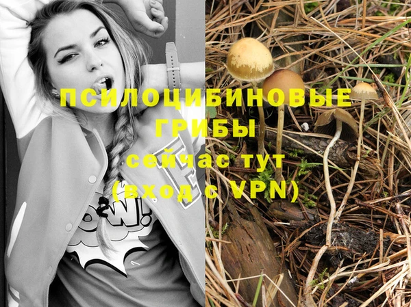ECSTASY Заволжск
