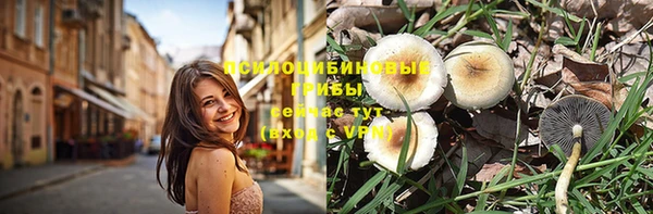 МДПВ Заводоуковск
