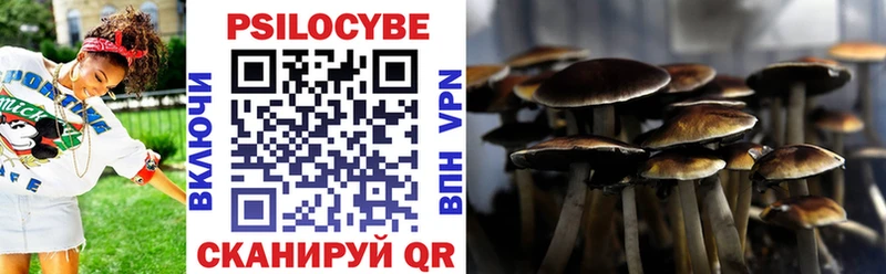 Галлюциногенные грибы мухоморы  Купить  Каменка 